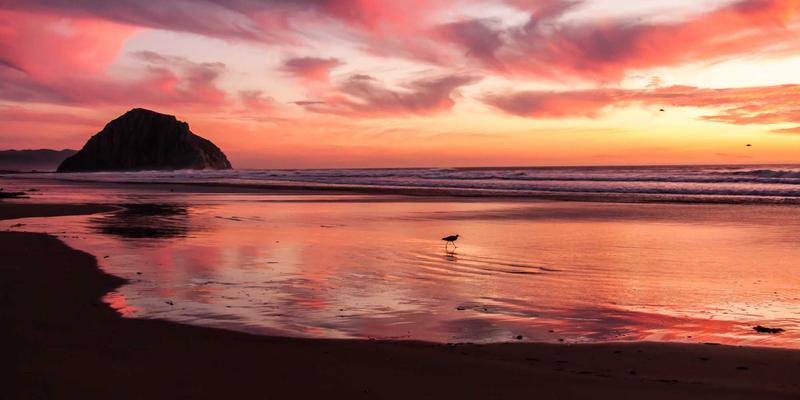 Music Production 90: Mastering Mixing with MIDI Controllers for Modern Tracks