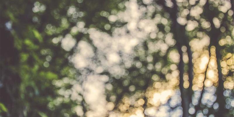 从DAW画布到母带杰作：像Graffiti Art一样运用失真、饱和与调制效果