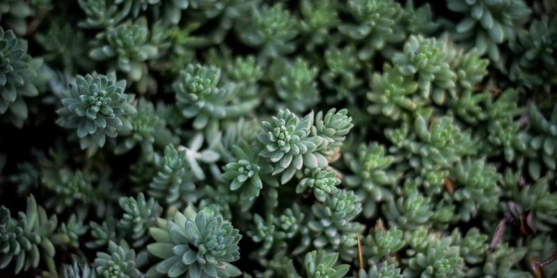 从声音工程到成品:现代音乐制作的核心技术与装备指南