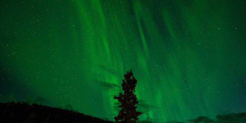 从涂鸦艺术到声音画布：模块化合成器入门与专业监听设备指南