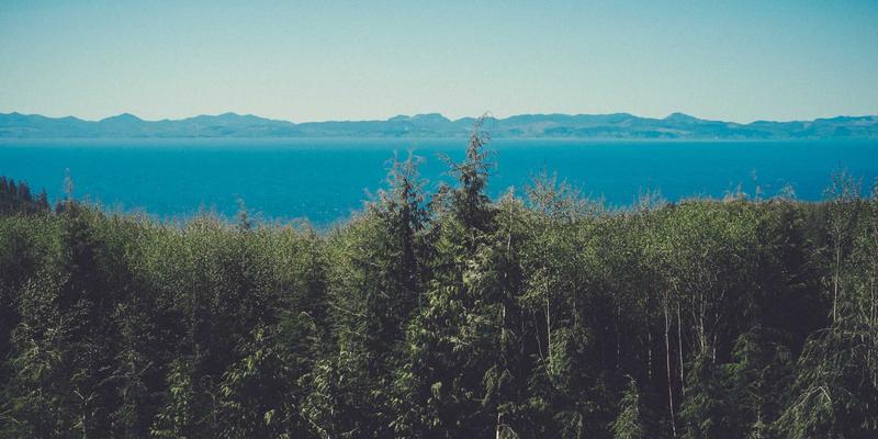 从混音到涂鸦：探索音乐制作中的跨界艺术表达