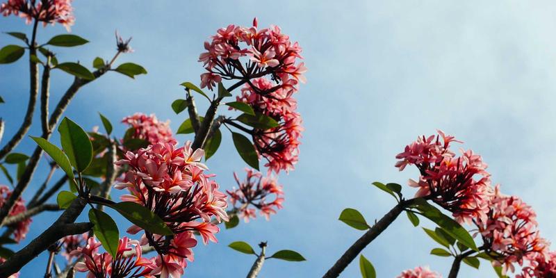 电影与游戏配乐制作：如何运用Sound Engineering与MIDI Controllers同步画面情绪与音乐叙事