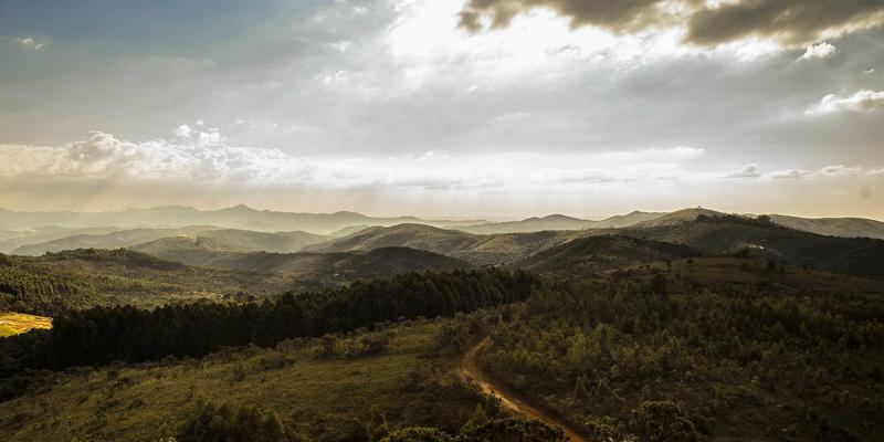 音乐制作与母带处理的数字画布：深度解析四大DAW（Ableton Live, Logic Pro, FL Studio, Cubase）的创作流程差异