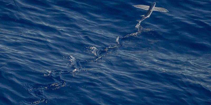 音乐制作全攻略：从DAW选择到母带处理的专业流程