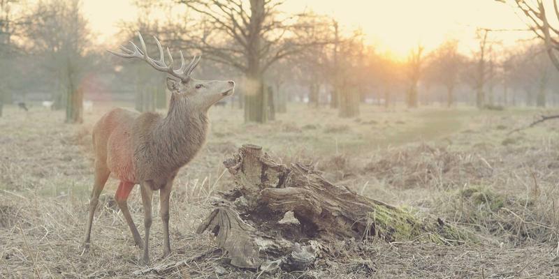 音乐制作新浪潮：当音频工程遇见涂鸦艺术