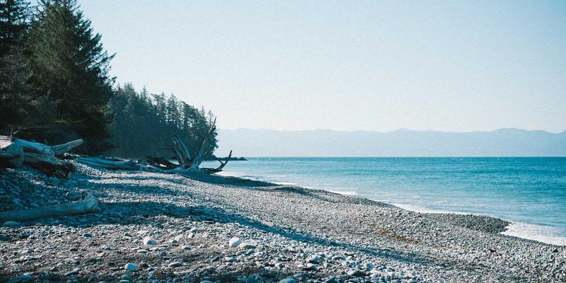 音乐制作项目管理的艺术：用专业DAW与Studio Monitors打造高效工作流